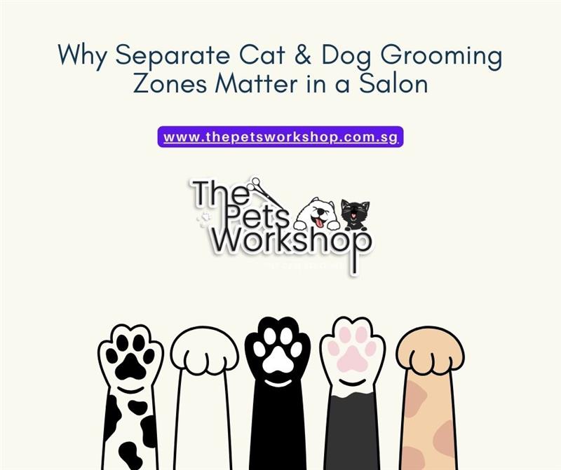 Why Separate Cat & Dog Grooming Zones Matter in a Salon- The Pets Workshop