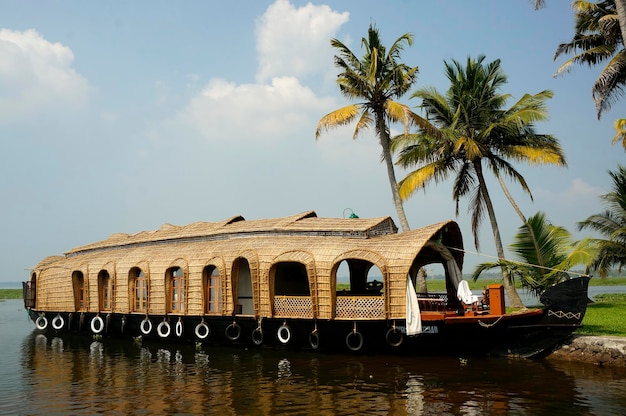 Houseboats and Coconut Trees