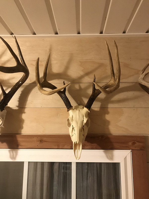 15F1C8EF-8757-4D07-926A-78F5943684D5