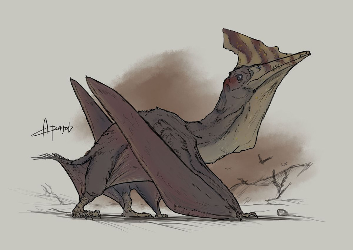 4045ec3266ffdcbf2fa5fd9b191c20e6