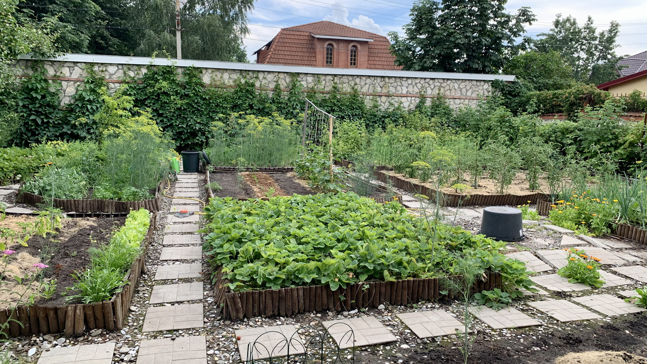 56B7F342-A362-49F6-8264-C0056D1A498E