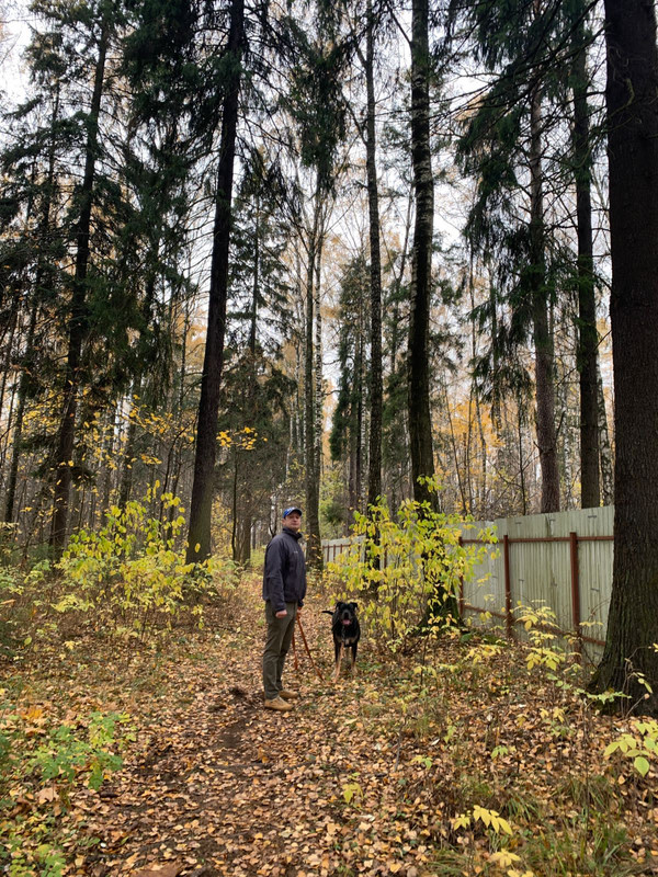 2CB8A322-1C01-4A2F-A0D0-18A583391103