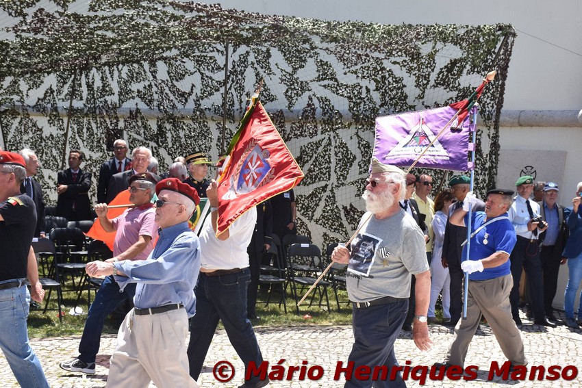 19055497_1489143837805179_7607909608566981455_o