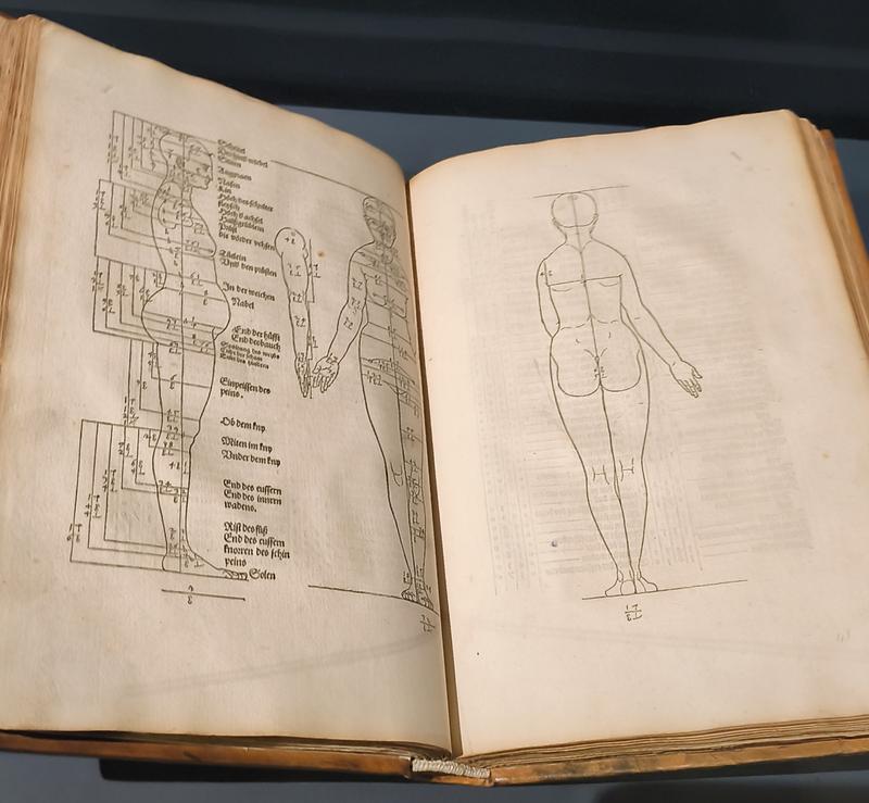 Belleza y Fealdad en Bruselas, Amberes y Brujas - Bélgica: Arte en Bruselas, Amberes, Brujas, Gante y Lovaina (29)