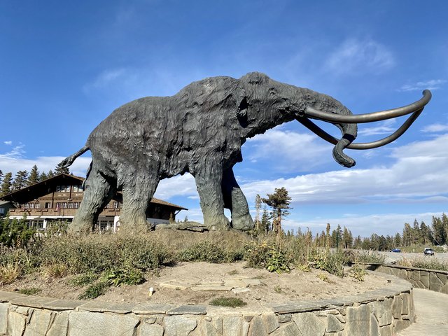 [Image: 97390-A86-D800-4-CE1-9577-DEB854-E8-D5-EE.jpg]