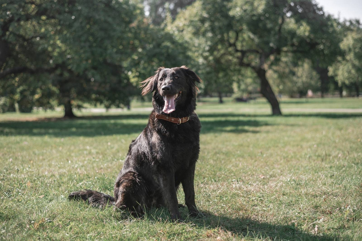 A1236494-4269-4A40-AF40-AD6A6B19FC9D