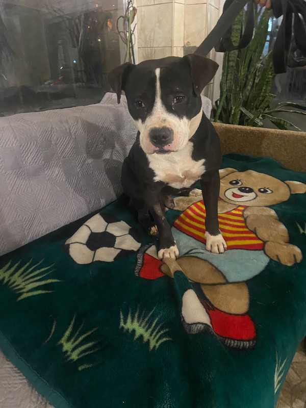 WhatsApp Image 2023-02-02 at 23.31.52 (1)