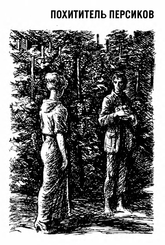 p0013