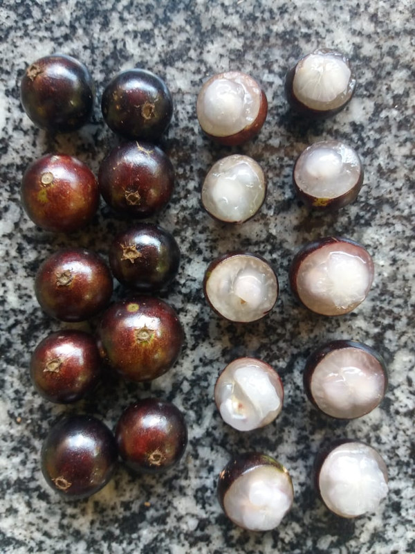 WhatsApp Image 2020-12-20 at 00.10.49 (8)