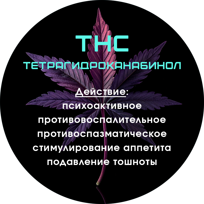 thc-tr.png