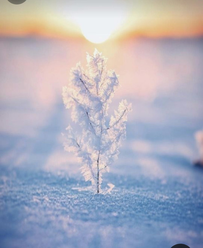 Screenshot_20230904_231709_Pinterest