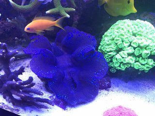 45EE7351-D109-4658-97E3-AA9735F90813