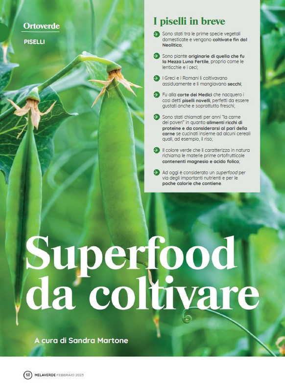 melaverde Feb 2023 (5)