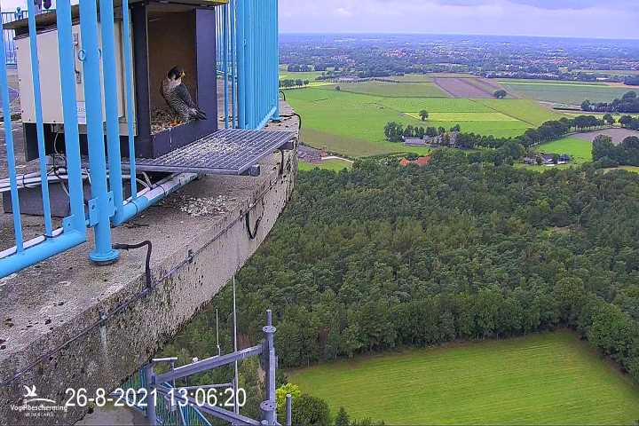 campics vanaf 1 juli  © VWGGemert  en bonusjes van ter plekke - Pagina 20 1