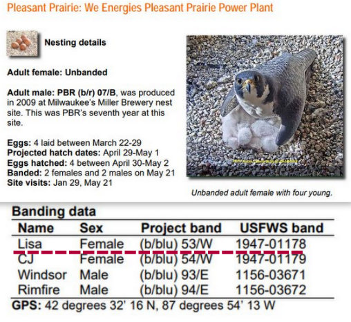 Minnesota. Boswell, G.S.B. Falcons, Hibbard,Xcel Energie (King/Sherco/Blackdog) Great River Energy, Rochester/ Mayo Clinic - Pagina 2 Przechwytywanie-w-trybie-pe-noekranowym-04-03-2021-230625