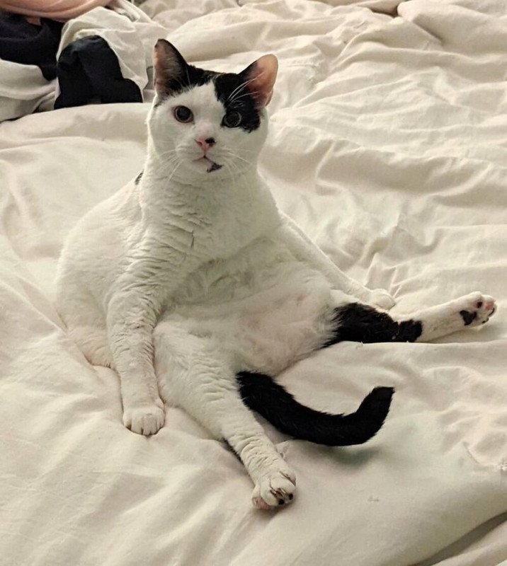 asset-8f98fca37fa7db07307fbb7405c026c3.j