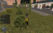 image (1)