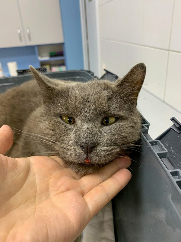 70BBF697-73A5-4C5D-9A5D-EA9ABD6FAA0E