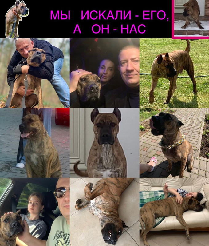 2F1F12AC-4D42-4B77-A358-6AE5A0FD4A10