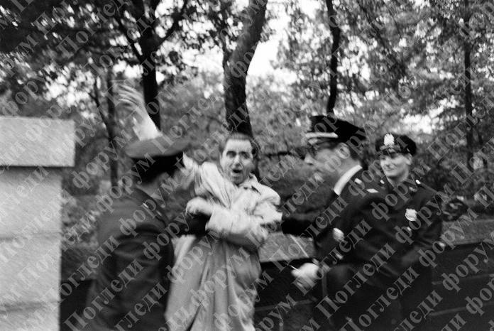 [Слика: image-7.jpg]