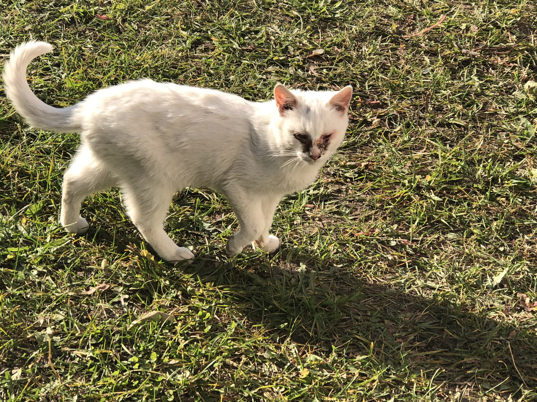 1C611EC0-1387-4368-B32E-BEE85CB50040