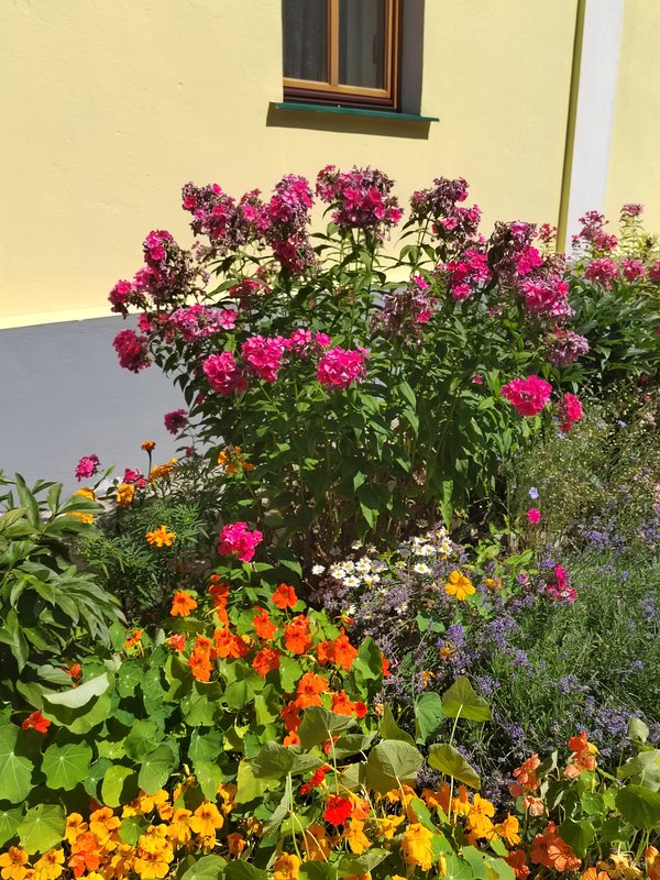https://i.postimg.cc/Gpbk6Bm7/025-IMG-20240711-113405.jpg