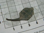 pistesormus 009