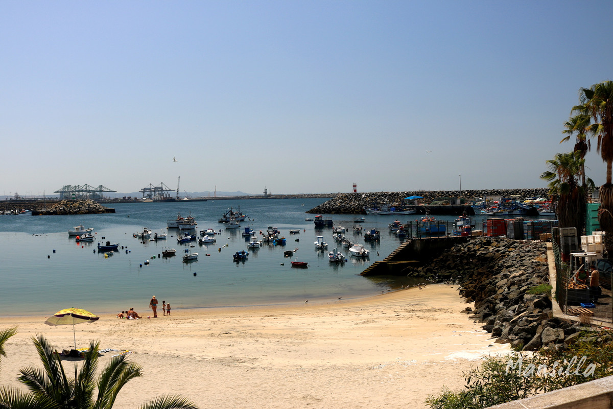 Sines-3007