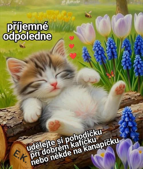 672171157-924791617211789-6348445585014882526-n