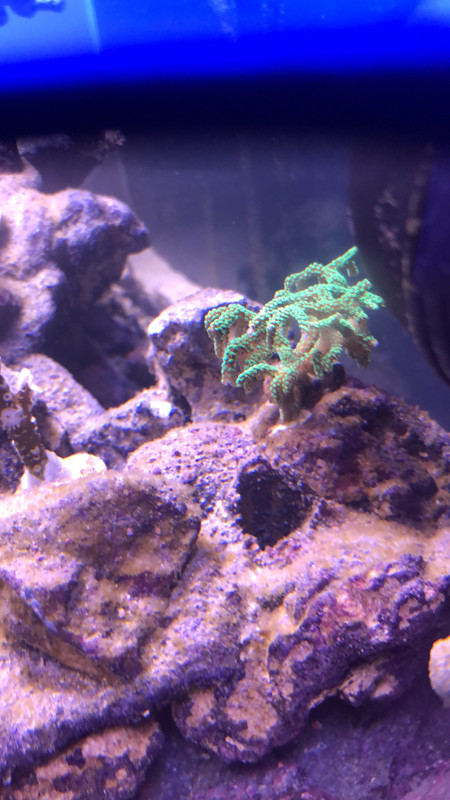 48C53A8F-8029-4434-B95D-276F05DD10DC