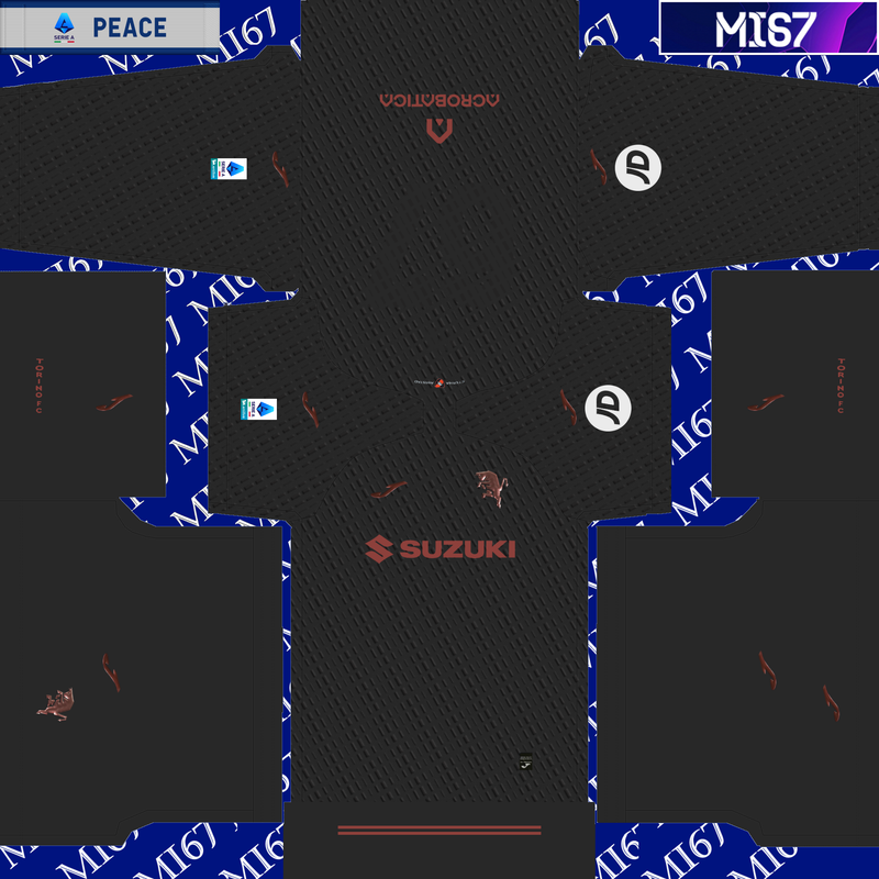 TORINO THIRD 26 logo