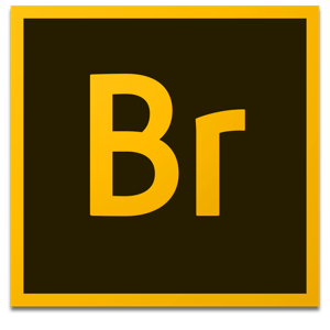 Adobe Bridge 2021 v11.1.1 macOS