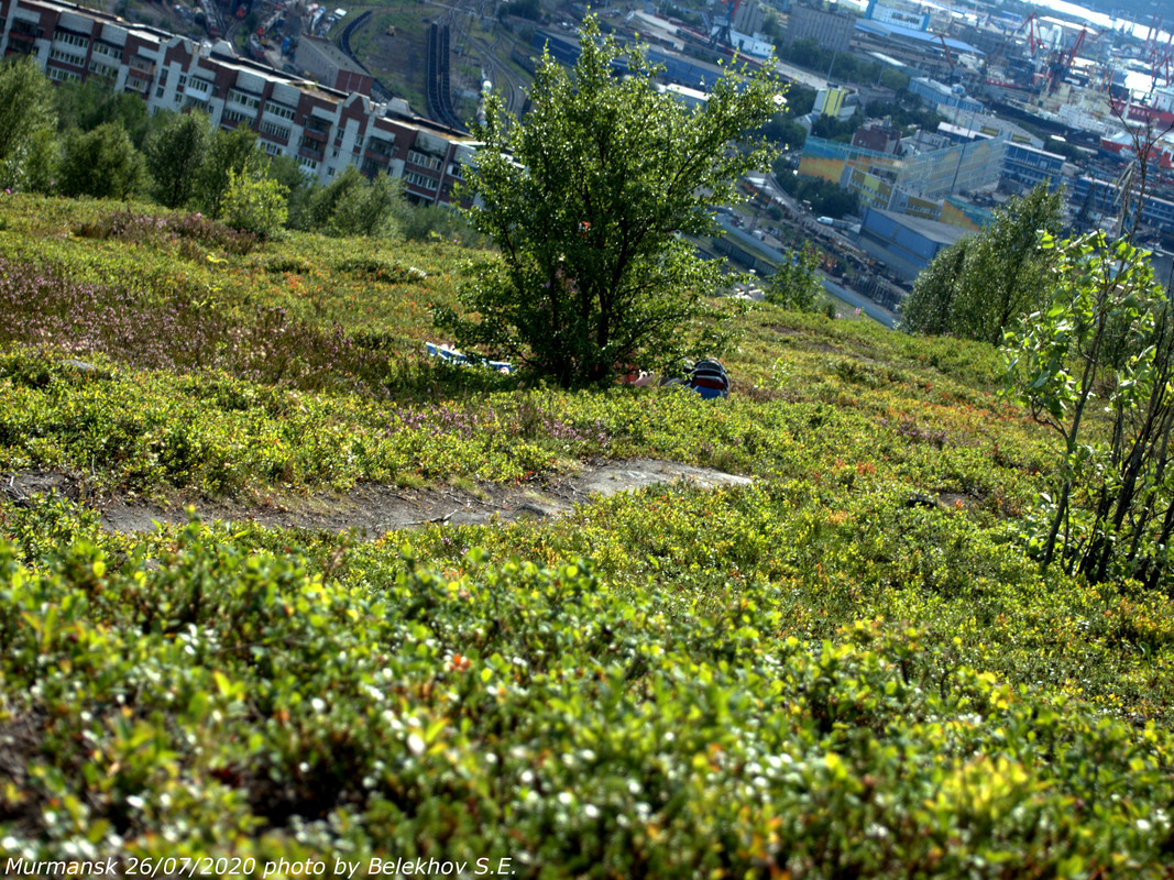Мурманск, виды, Семёновское озеро Мурманск, виды, Семёновское озеро