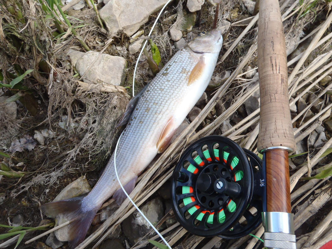 фотки 2011 июнь 004