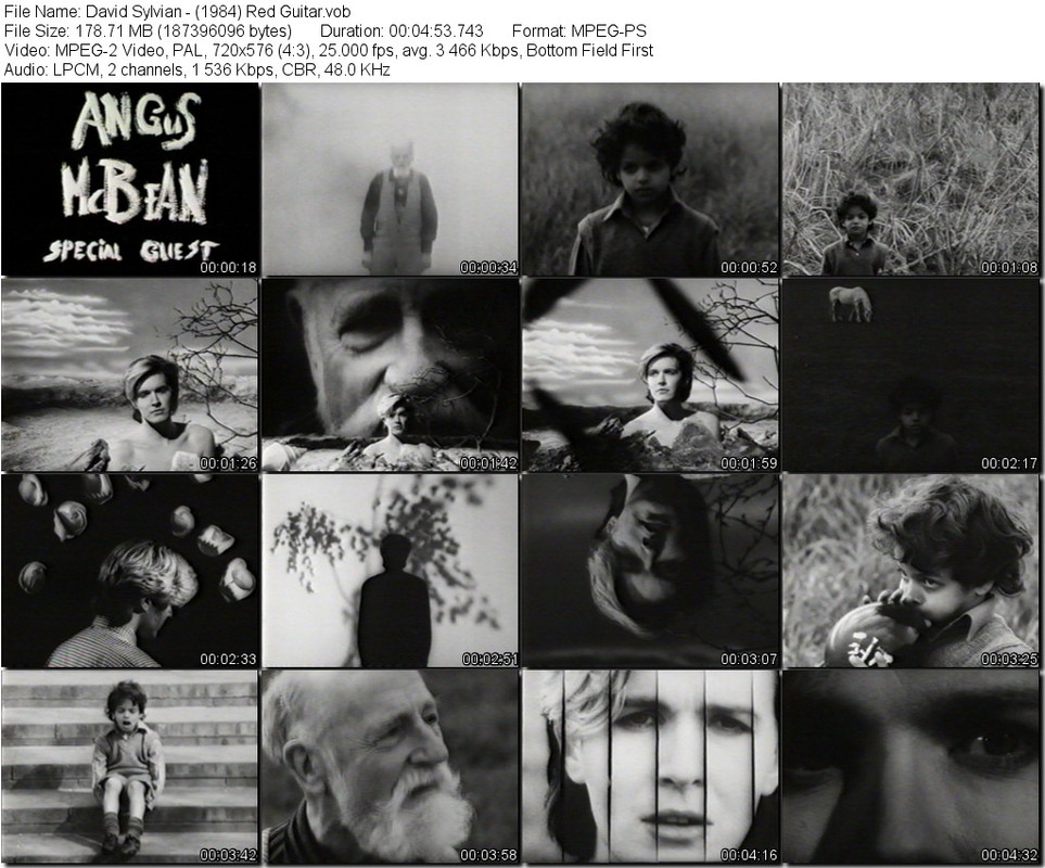 David Sylvian - (1984) Red Guitar.vob_tn