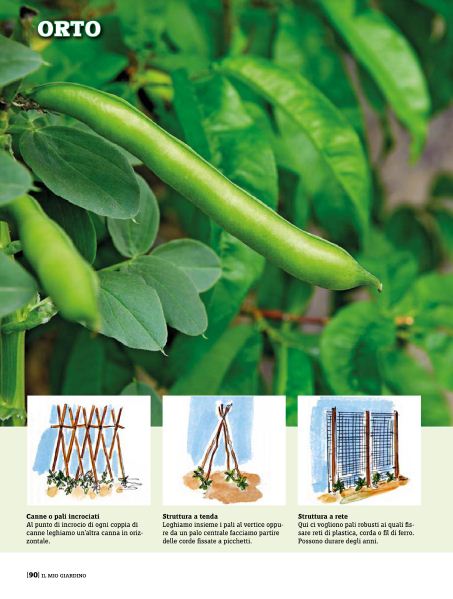 il Mio Giar Apr 2020 (1)