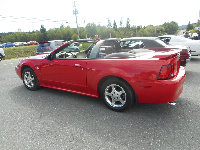 Rendez-Vous Mustang Cliche Auto Ford - 14 août 2022 Cliche2022-77