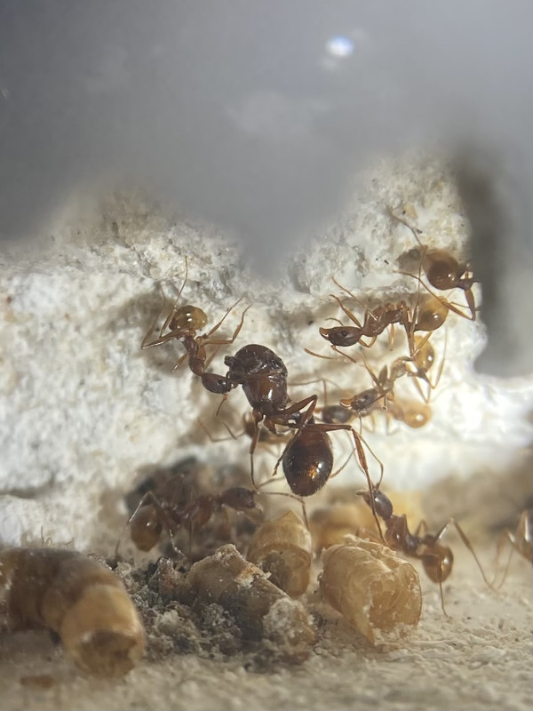 F4D34655-AB2F-496C-876A-B91D93F9FC6D