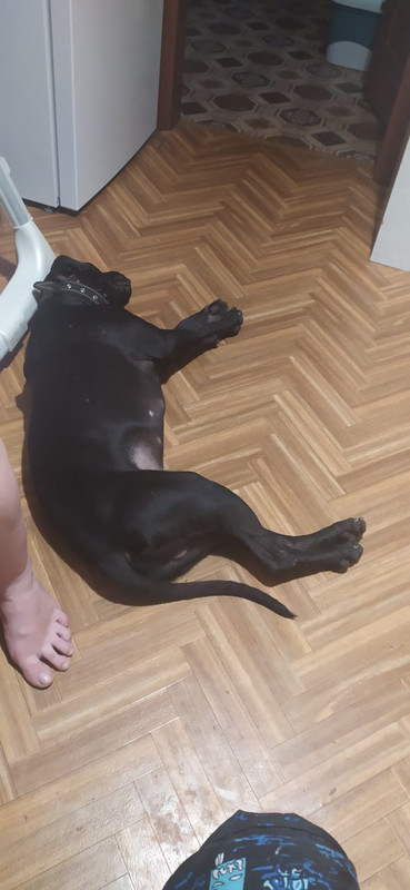 7A963BC3-93A7-4BA1-8225-9F70BEAE4ABE