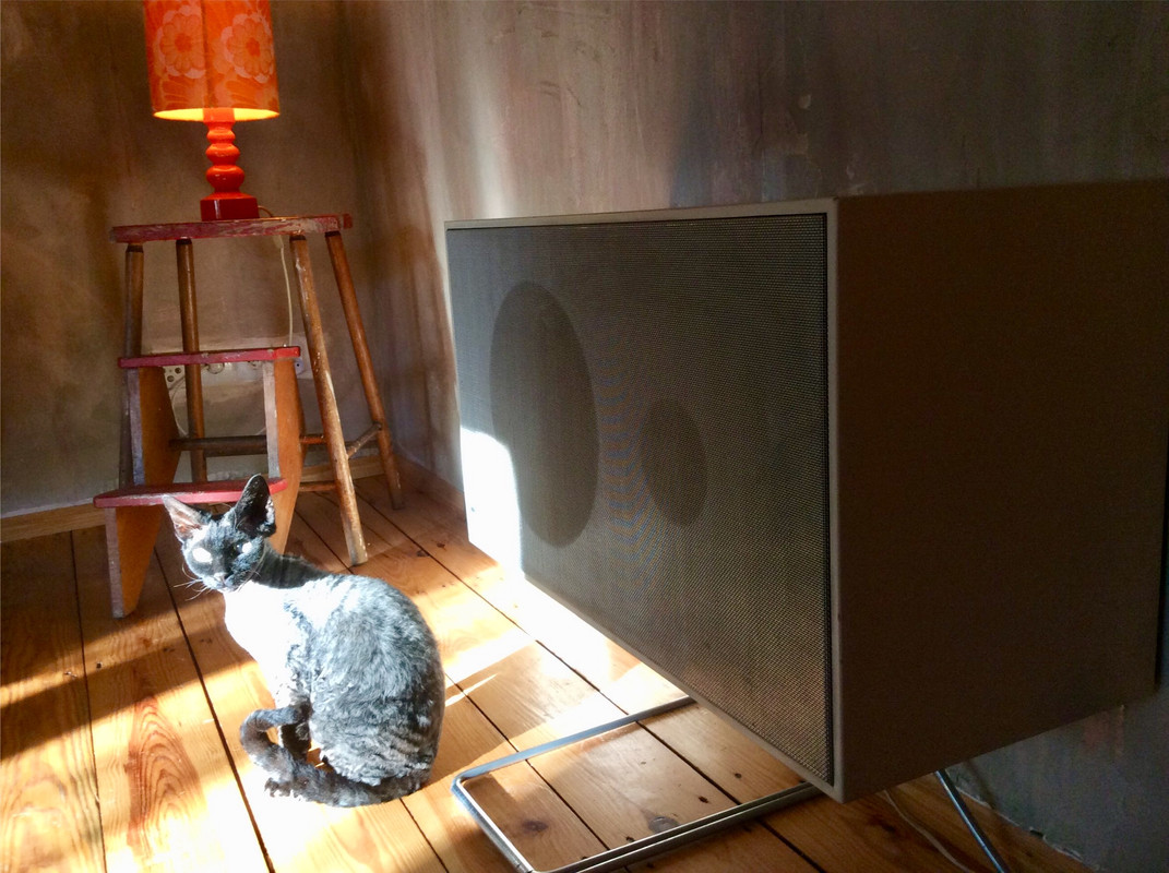 D8133297-182C-4578-821C-54C02F8F74D9