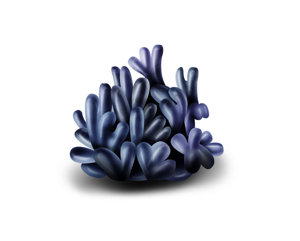 e51_ks