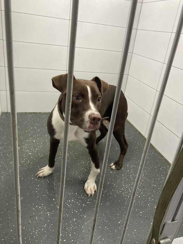 DDBEF8C3-85B6-4116-A39E-BD580A6A37C4