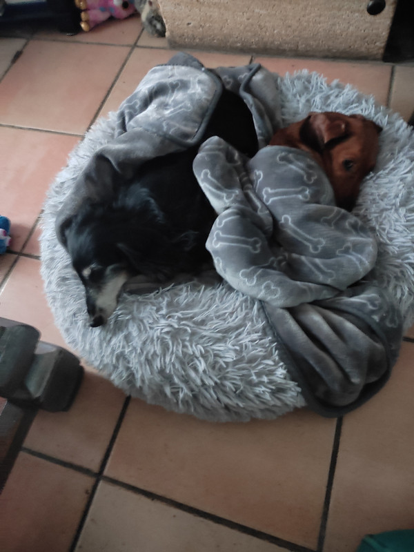 [Image: IMG-20231219-143124.jpg]