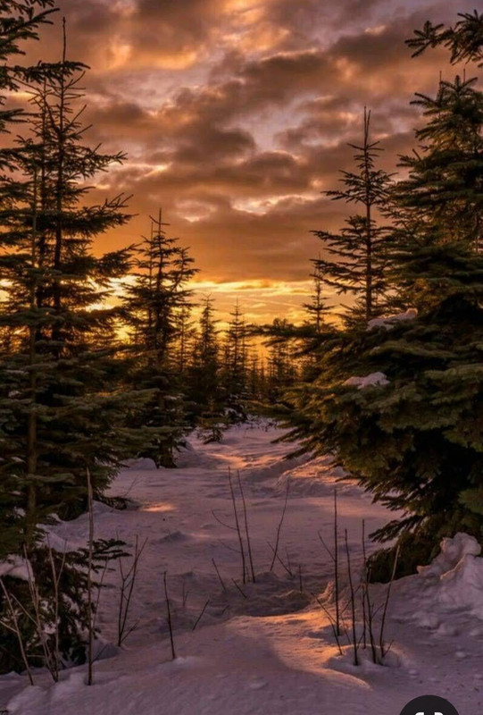 Screenshot_20230831_231803_Pinterest