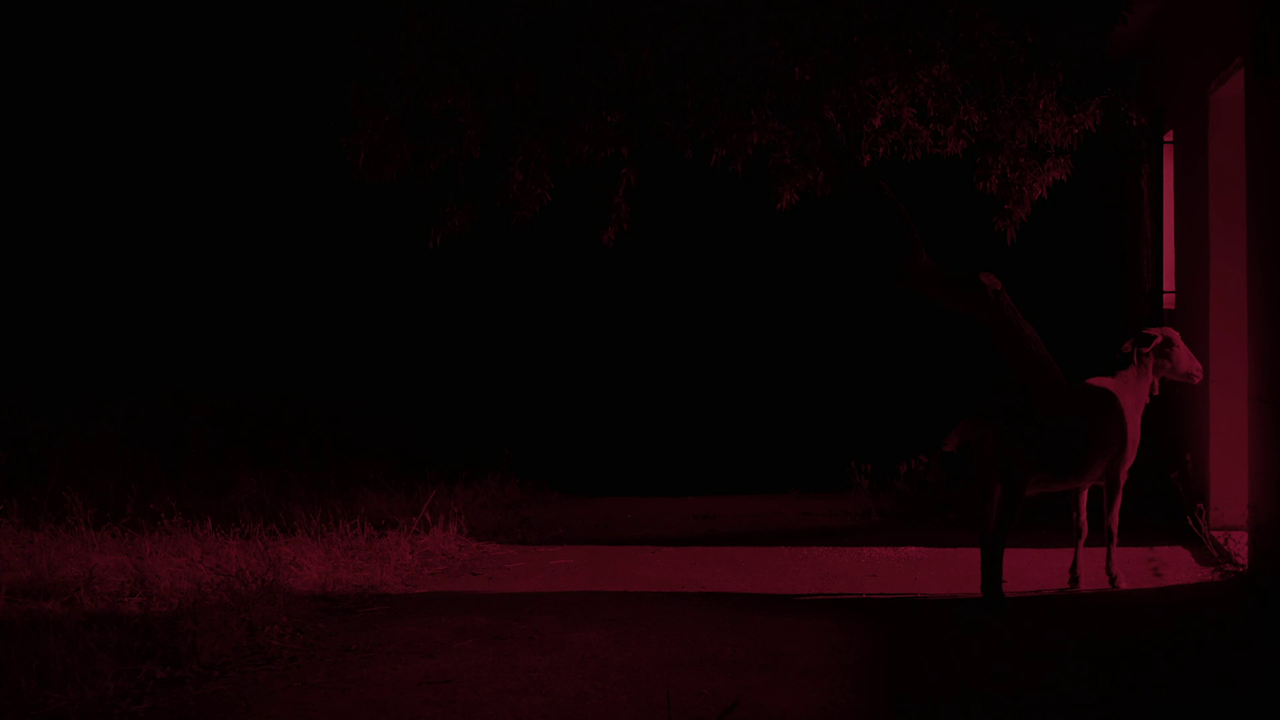 vlcsnap-2022-02-03-20h31m56s976