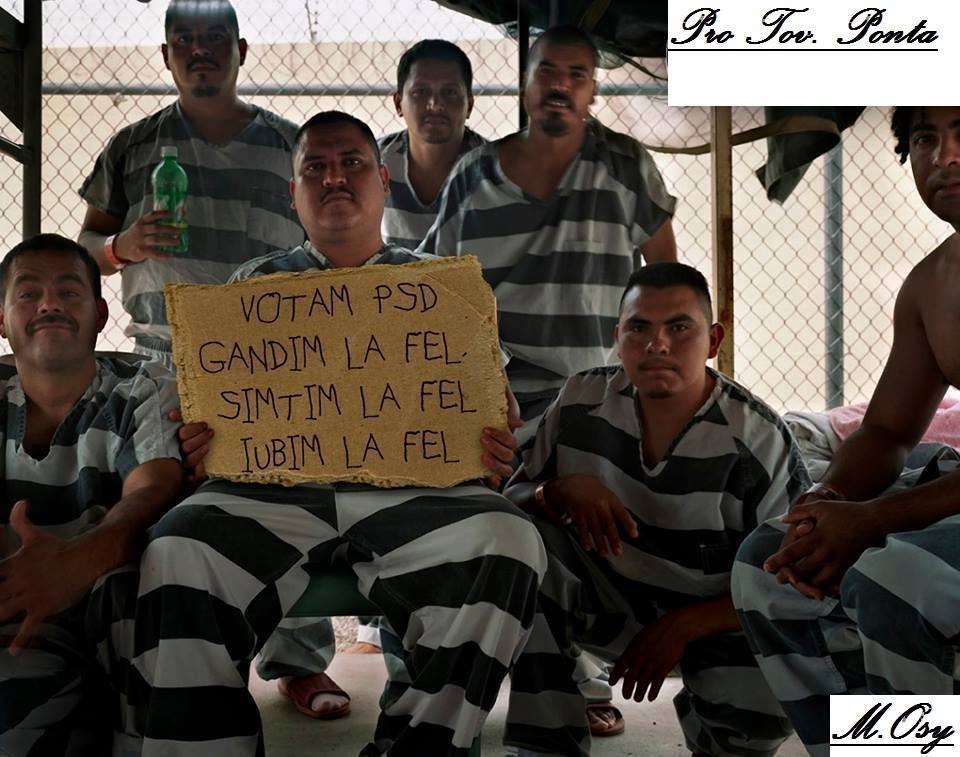 15977830_1267105170002803_3315181601564411983_n