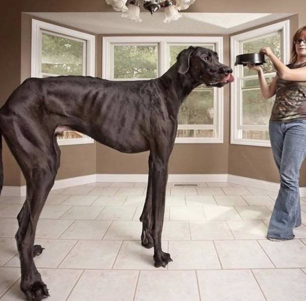 Fascinating-3