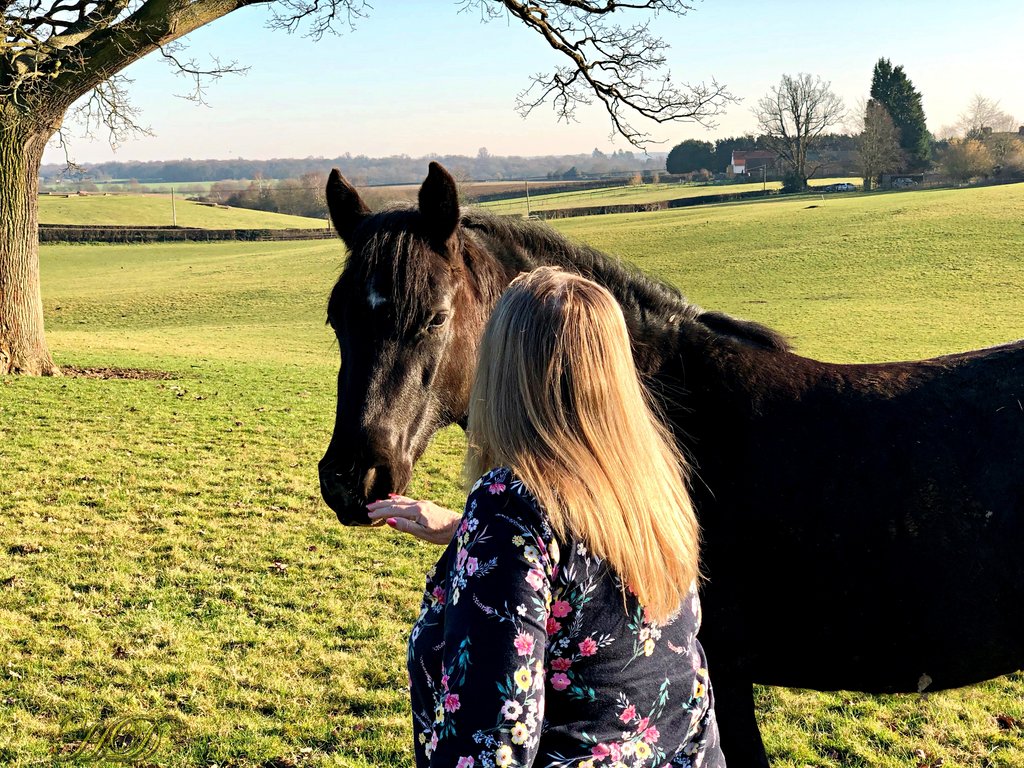 Me-and-harry-horse-HD.jpg