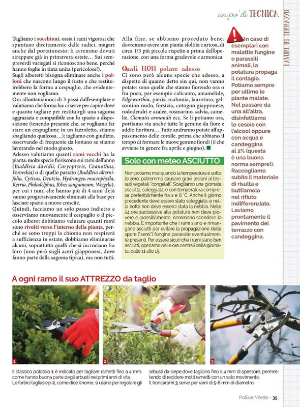 Pol Ver Gen-Feb 2022 (10)