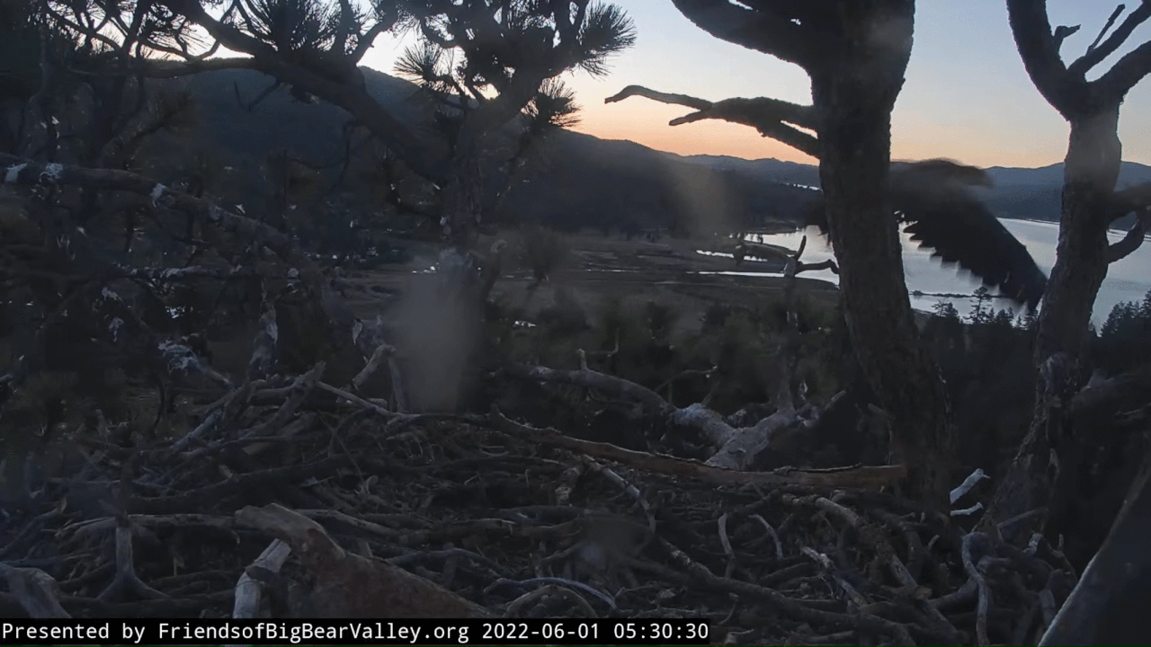 Webp.net-gifmaker (1)